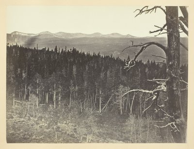 Snow and Timber Line, Medicine Bow Mountain by Andrew Joseph Russell