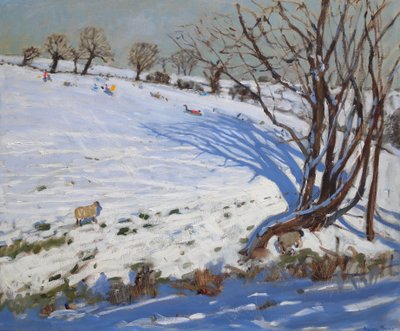 Children sledging, Derbyshire by Andrew Macara