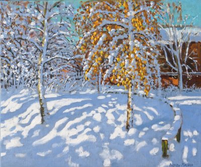 Golden Leaves in Winter, Normanton, Derby by Andrew Macara