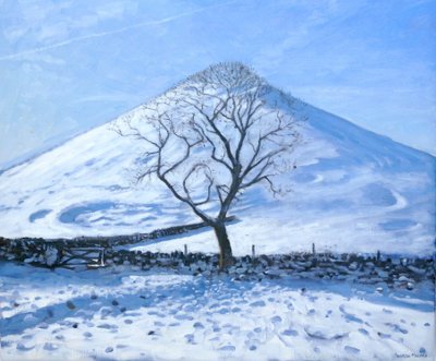 Hill and Tree, Derbyshire, 2008 by Andrew Macara