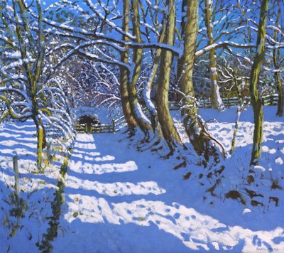 The Tunnel, Calke Abbey, Ticknall, Derby by Andrew Macara