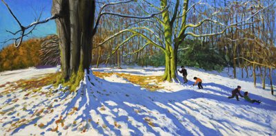 Top of Allestree Park, 2014 by Andrew Macara