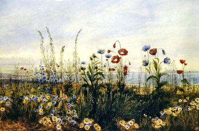 A View of Kingstown and Dublin Bay by Andrew Nicholl