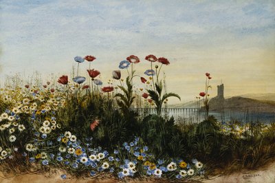 Ferry Carrig Castle, Co. Wexford, Seen Through a Bank of Wild Flowers by Andrew Nicholl