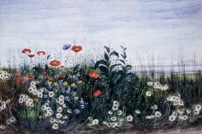 Wild Flowers by Andrew Nicholl