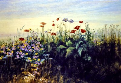 Wild Flowers by Andrew Nicholl