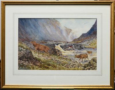 Deer Crossing the River Coe by Andrew Scott Rankin