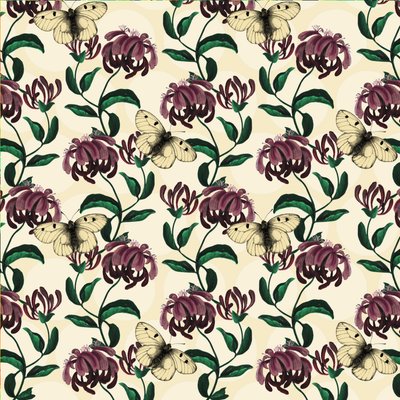 Honeysuckle with Clouded Apollo-light by Andrew Watson