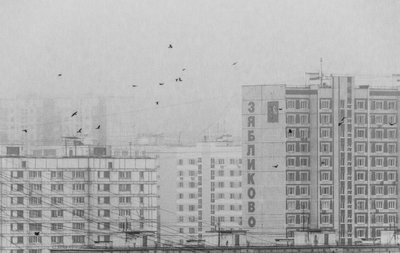 Monochrome City Birds by Andrey Kotov