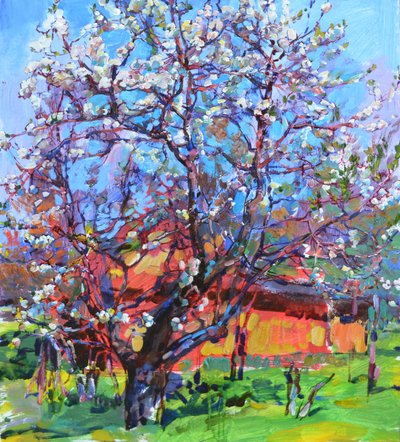 Spring Tree in Bloom by Andrii Kutsachenko