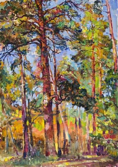 Sunlit Pine Forest by Andrii Kutsachenko