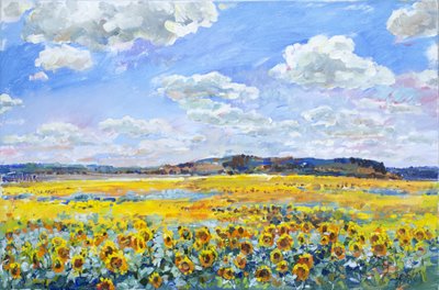 Sunlit Sunflower Field by Andrii Kutsachenko