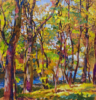 Vibrant Autumn Forest Stream by Andrii Kutsachenko
