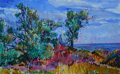 Vibrant Coastal Landscape by Andrii Kutsachenko