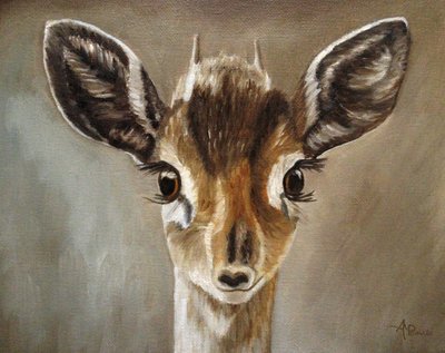 Adorable Dik-Dik Fawn by Angeles M. Pomata