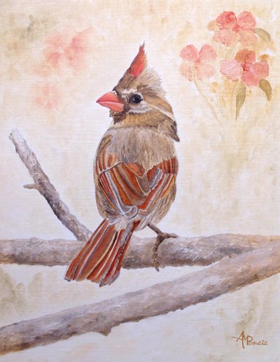 Brown Cardinal Perched by Angeles M. Pomata