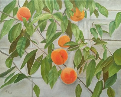 Fresh Peaches On Wall by Angeles M. Pomata