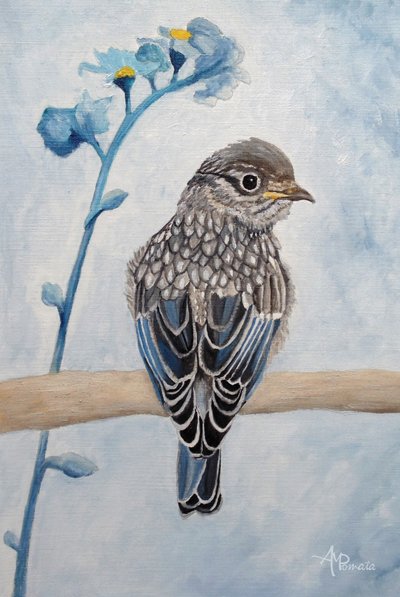 Gentle Bluebird Fledgling by Angeles M. Pomata
