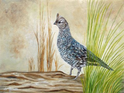 Ruffed Grouse on Log by Angeles M. Pomata