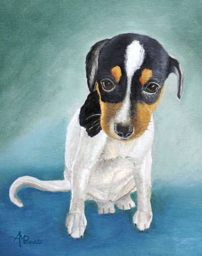 Tricolor Puppy Portrait by Angeles M. Pomata