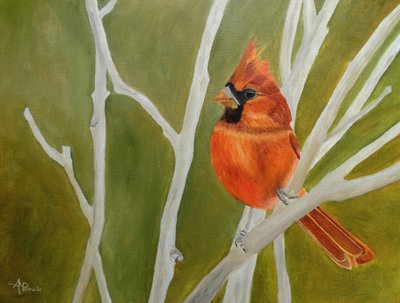 Vibrant Cardinal Perched by Angeles M. Pomata