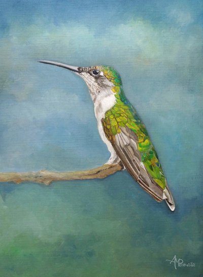 Vibrant Hummingbird Perch by Angeles M. Pomata
