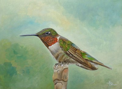 Vibrant Hummingbird Perched by Angeles M. Pomata