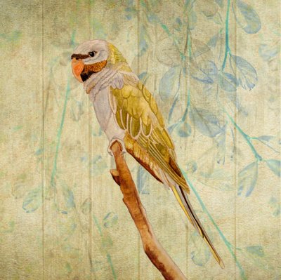 Vintage Green Parrot by Angeles M. Pomata