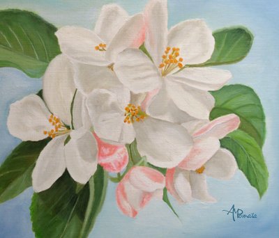 White Apple Blossoms by Angeles M. Pomata