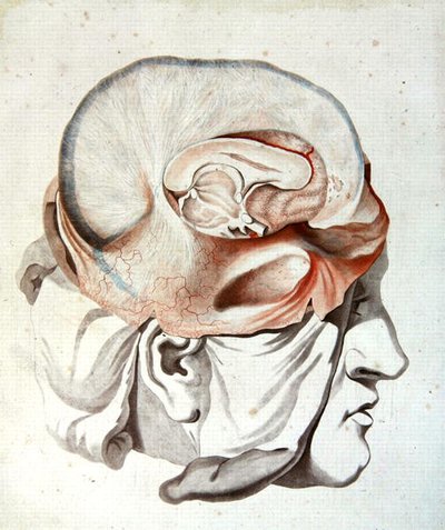 The Skull, from 