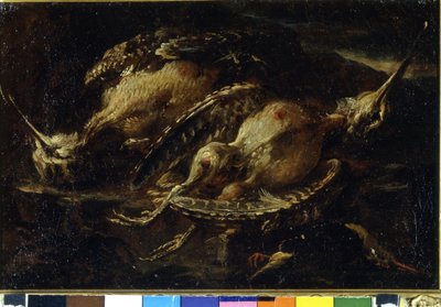 Still life of birds by Angelo Maria Crivelli