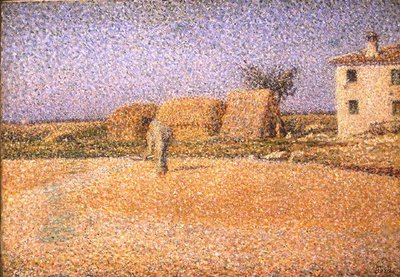 Corn in the Sun by Angelo Torchi