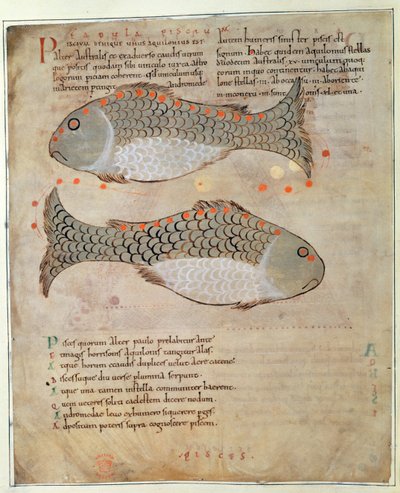 The Constellation Pisces (from 