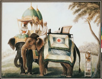 Elephants with their Mahout, c.1815 by Anglo Indian School