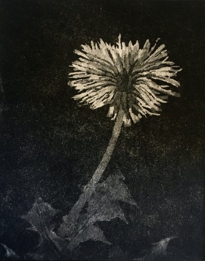 Hope by angus hampel