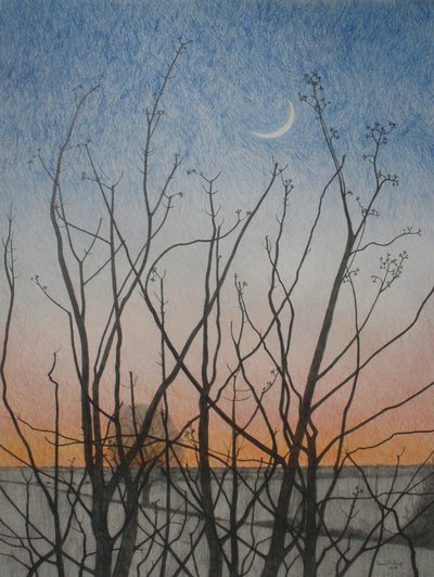 From my Window, 2011 by Anna Phillips
