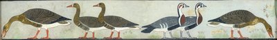 Copy of wall painting from Mastaba of Itet, Medum IV, 93-94 geese, 20th century by Anna