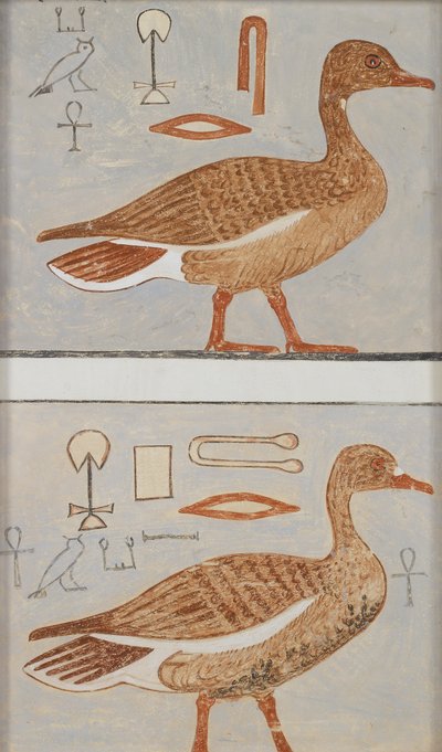 Copy of Wall Painting from a Private Tomb of Kaemankh, Giza, Geese by Anna