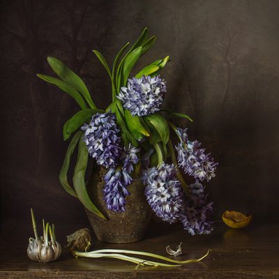 Rustic Hyacinths and Garlic by Anna Petina