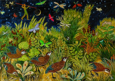 Skywire by Anna Pugh