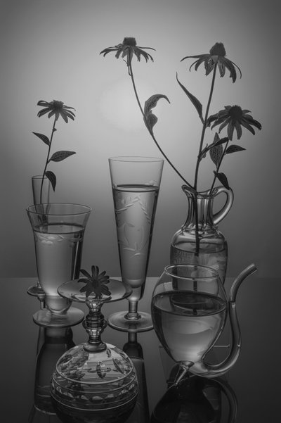 Monochrome Flowers and Glass by Anna Qu