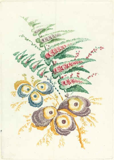 Fantastic Flowers with Oyster-shell Blossoms by Anne Allen after Jean Baptiste Pillement