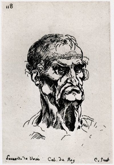 Drawing after Leonardo de Vinci by Anne Claude Philippe de Caylus