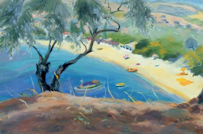 Achladies Bay, Skiathos, Greece by Anne Durham
