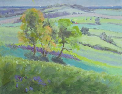 Towards Winchelsea, Sussex, with Bluebells in Spring by Anne Durham