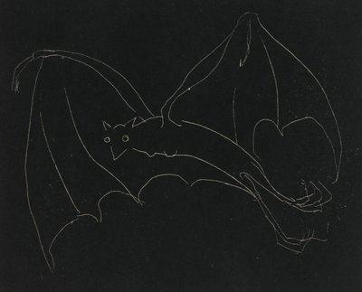 Night Series: The Bat by Anne Goldthwaite