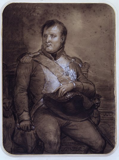 Napoleon I at Saint-Cloud by Anne Louis Girodet de Roucy Trioson