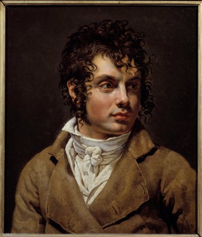 Portrait of a Man by Anne Louis Girodet de Roucy Trioson