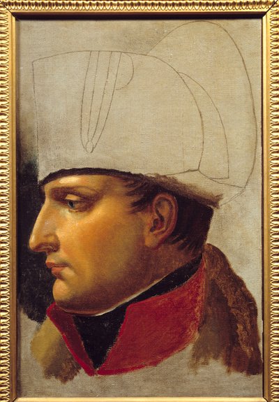 Portrait of Napoleon I (1769-1821) study for the handover of keys to the city of Vienna on November 13 by Anne Louis Girodet de Roucy Trioson