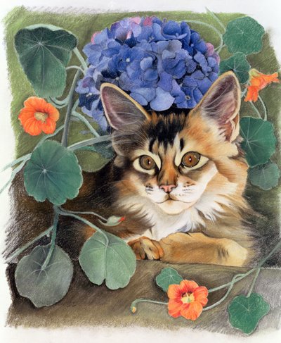Sootsy with Hydrangea by Anne Robinson
